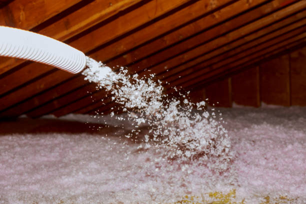 Best Insulation Installation Services in Morgans Point Resort, TX